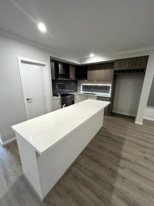 Exquisite Home for Rent - Photo 1