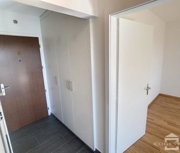 Appartement complétement renové de 2 pièces au 2ème étage - Photo 2