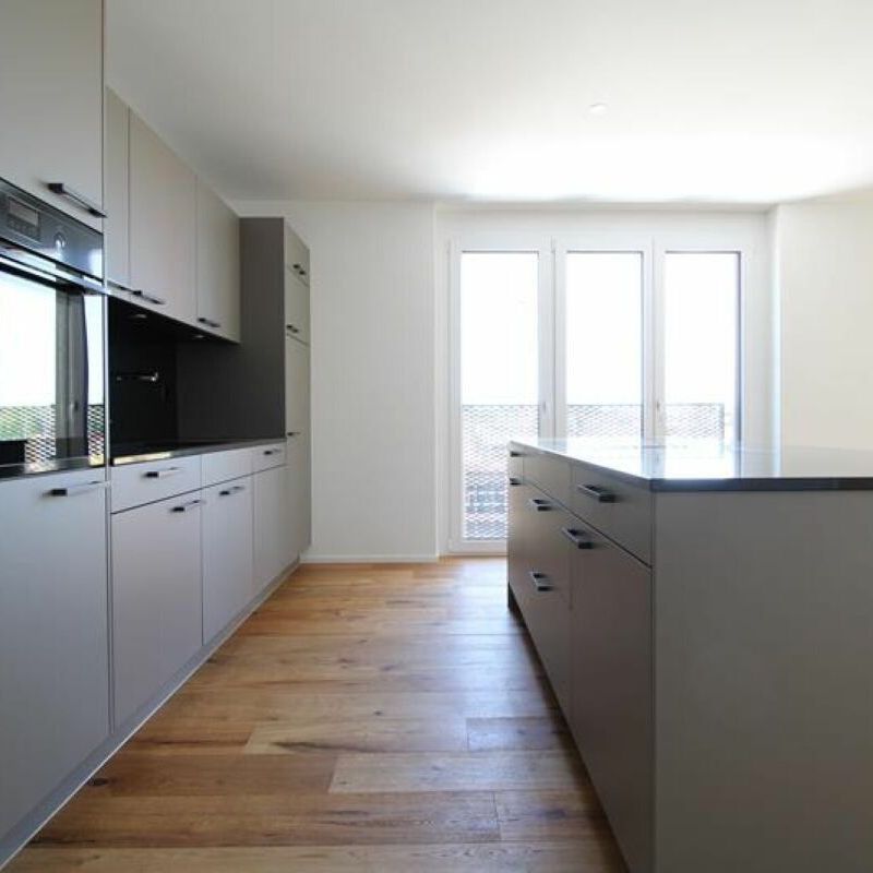 Living in luxury – relaxed living in the Ziegelei quarter - Photo 1