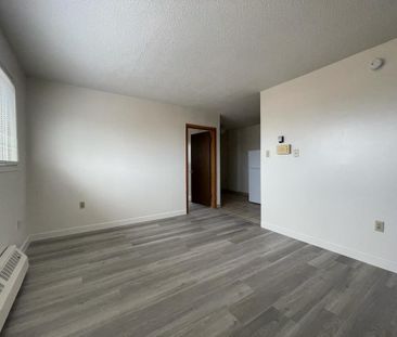 One bedroom apartment near downtown - Photo 4