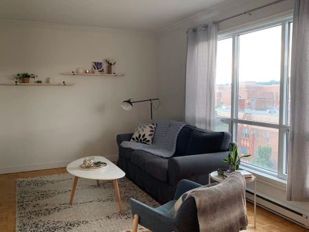 4488 STE-CATHERINE — Charmant 3½ à louer – Disponible dès le 15 septembre - Photo 2