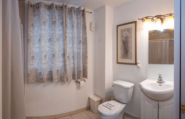 For Lease - 356 Cedarvale Avenue, Toronto, Ontario - Photo 1