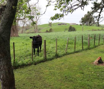 Large family home, rural lifestyle - Photo 2