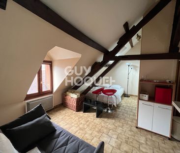 Location Appartement 1 pièce 27m² AUXERRE 89000 - Photo 3