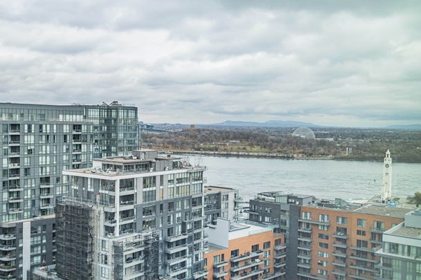 Rue St-Hubert, H2Y 0B9, Montréal - Photo 1