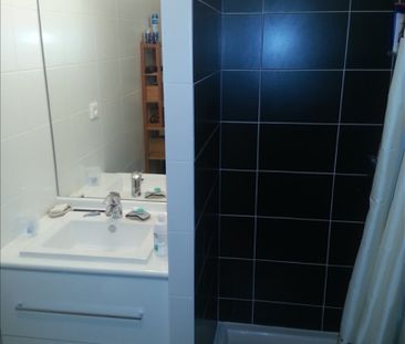 T2 MEUBLE - LYON 7 - Photo 3