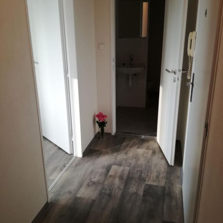 Pronájem bytu 2+1 44 m2 - Fotografie 1