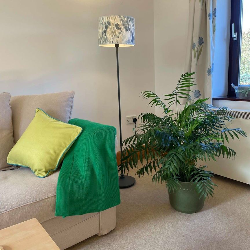 1 Bedroom Home – Medium Let - Photo 1