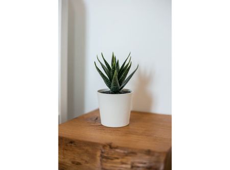 Calçada do Marquês de Abrantes, Lisbon, Lisbon 1200-163 - Photo 5