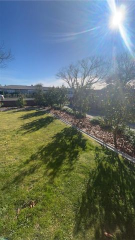 24B Fitchett Street, City Centre, Palmerston North - Photo 5