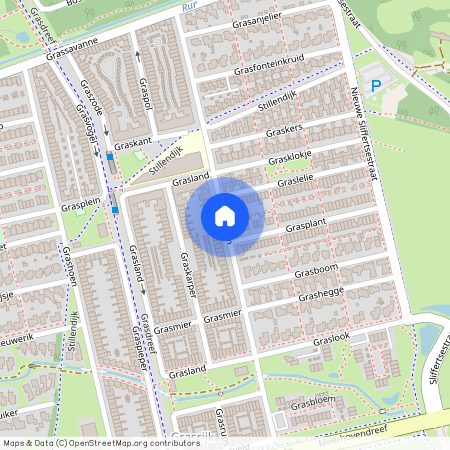 Grasbloem, Eindhoven