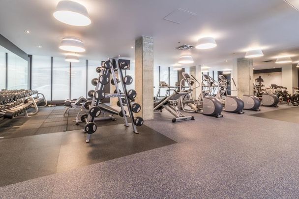 Appartement à louer - Montréal (Le Sud-Ouest) (Griffintown) Appartement à louer - Montréal (Le Sud-Ouest) (Griffintown) - Photo 1