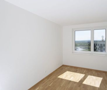 7000 Eisenstadt, Sepp Laubner-Straße 2a, 2b, 4 - Foto 3