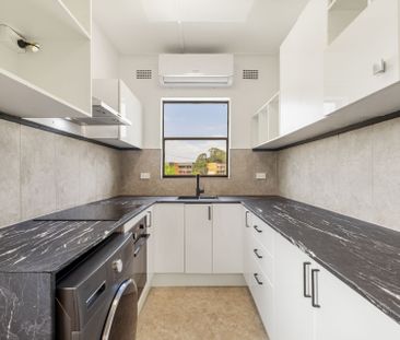 Renovated 1 Bedroom Unit above Shops - Photo 3