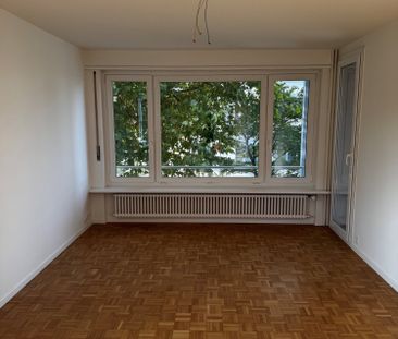 Charmante 3-Zimmer-Wohnung an der Seidenstrasse in Brugg - Photo 1
