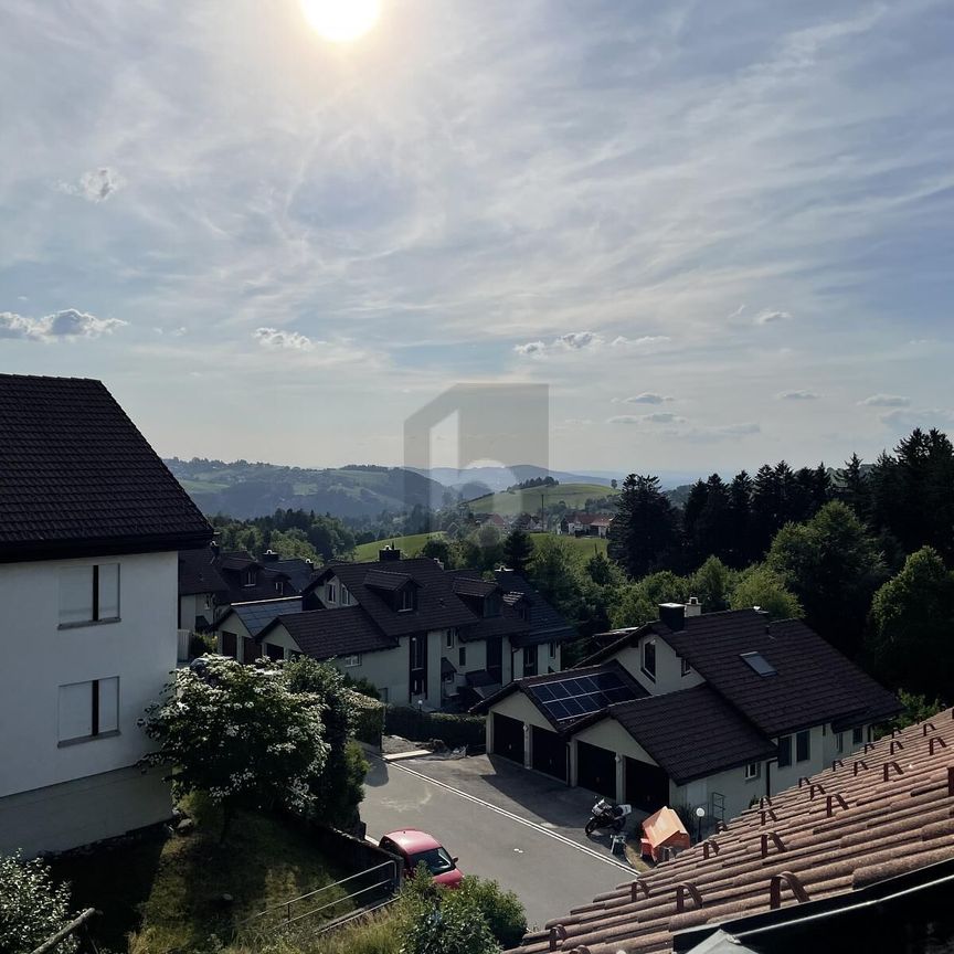 ATEMBERAUBENDER BLICK AUFS APPENZELLERLAND - Photo 1