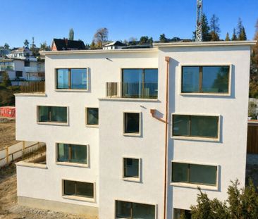 Zimmerbergstrasse 12 , 8800 Thalwil - Photo 4