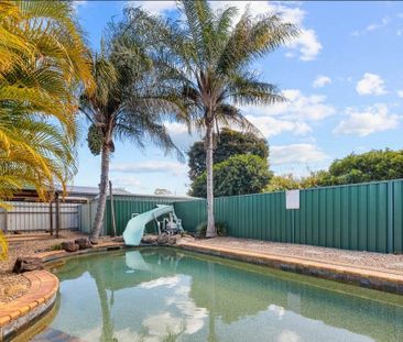 39 Ladybird Street, Kallangur, QLD 4503 - Photo 4