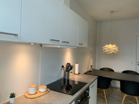 Nyistandsat gågade-lejlighed på 83 m² med stor terrasse - Photo 2