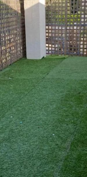 Cannet saint sauveur - Photo 1