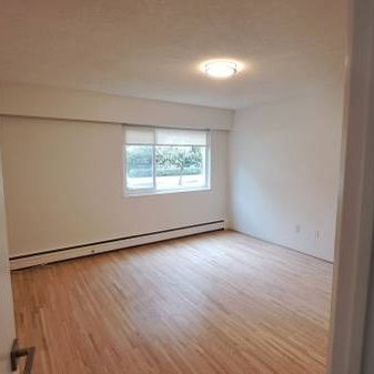 1 bdrm apartment for rent December 1 2024 $2400 - Photo 1