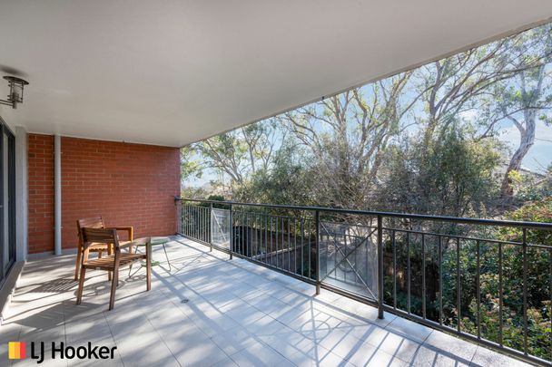 Spacious Unit in Bellevue Apartments - Photo 1