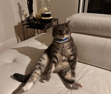 Caulfield South - Photo 1