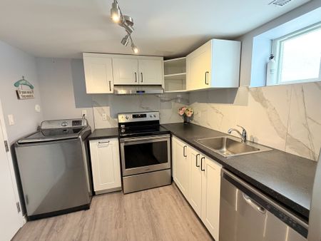 For Lease - 85 Franklin Street Unit# Lower, Newmarket, Ontario - Photo 5