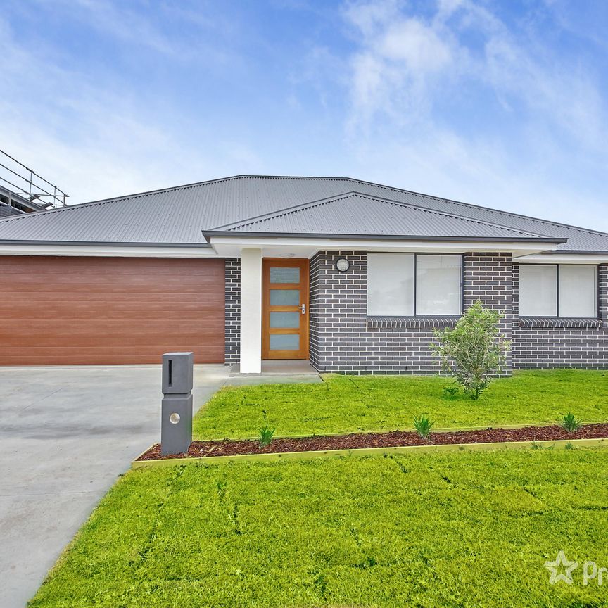 19 Taylor Street, Oran Park NSW 2570 - Photo 1