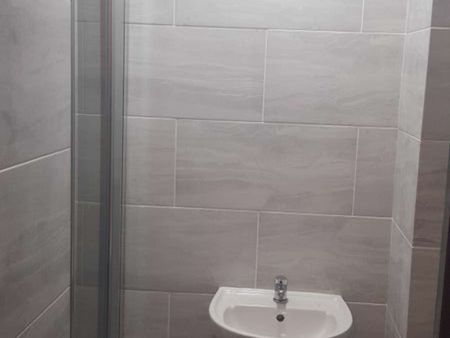 SPACIOUS EN-SUITE HOUSESHARE NEAR NEW CROSS HOSPITAL Room 1 - Photo 2