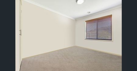 Spacious & Family Friendly on a Corner Block - Photo 4