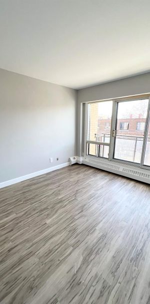 Studio - Montréal - $1,080 /mo - Photo 1