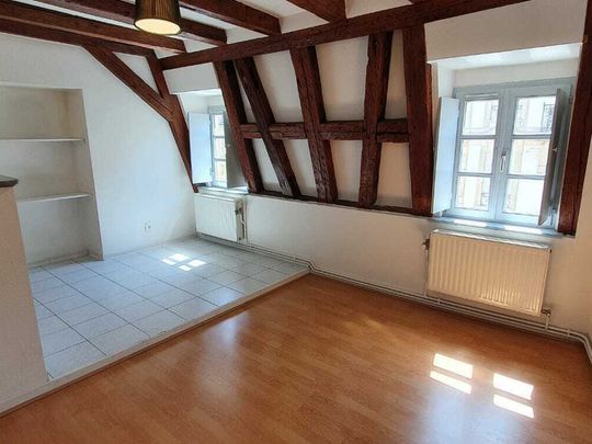 Appartement - 2 pièces - 45 m² - Strasbourg - Photo 1