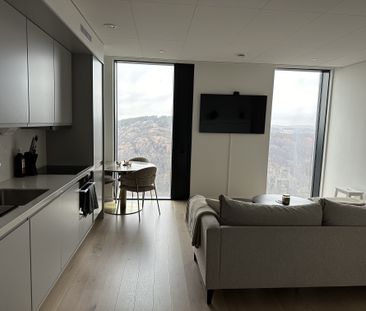 Lodjursstråket, Göteborg - Foto 1