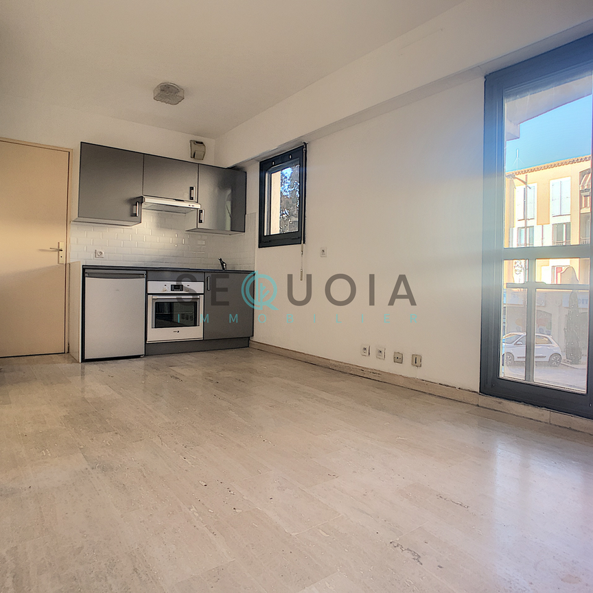 Location Appartement 1 pièce 20m² MOUGINS 06250 - Photo 1