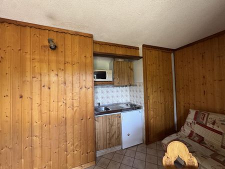 Location Appartement 2 pièces Meublé 24m² ONNION 74490 - Photo 4