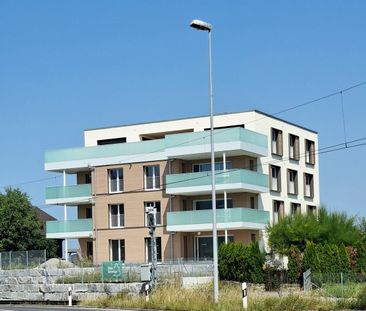 Lichtdurchflutete 4.5-Zimmer Neubauwohnung in Ermensee - Photo 5