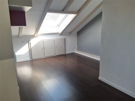 Location Appartement 48.9 M² ALTKIRCH 565 € - Photo 3