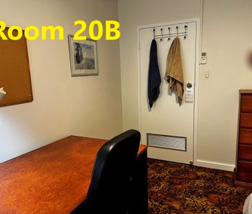 3-bedroom shared house / townhouse, St Albans Ave - Photo 5