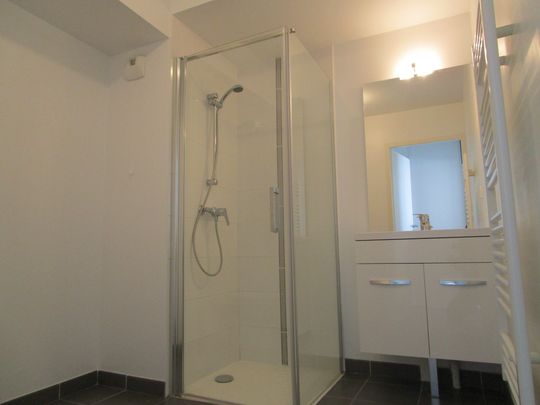 Appartement RUE MARIE CLEMENCE FOURIAUX - Photo 1