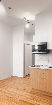 1 CH - 1 SDB - Montréal - $1,099 /mo - Photo 1