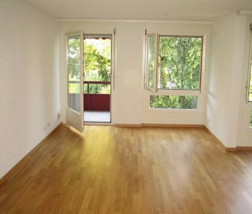 Apartment is looking for a single person - Photo 2