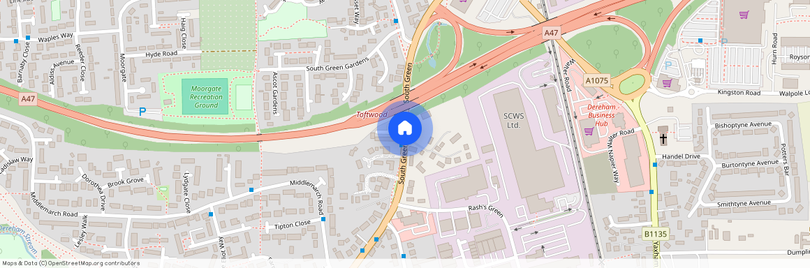 South Green, Dereham, NR19