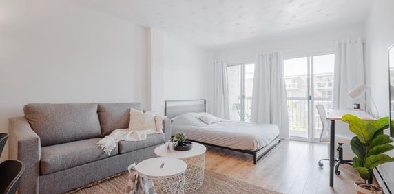 Loft entièrement meublé à louer Sainte-Foy / Sillery décembre 2025 - Photo 2