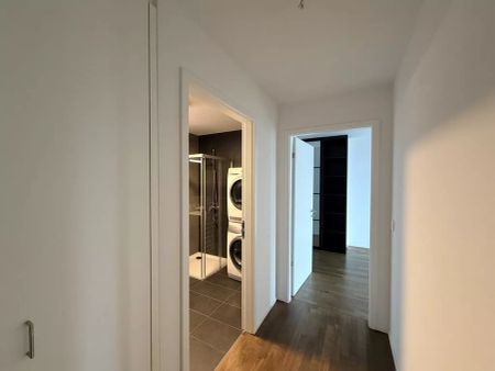 Appartement 4 ½ pièces, 1012 Lausanne - Photo 2