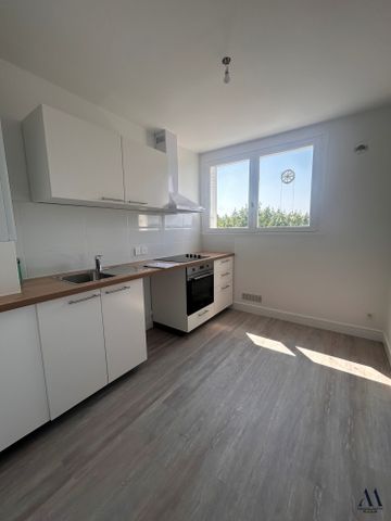 Location Appartement 2 pièces 48m² TOURS 37100 - Photo 3