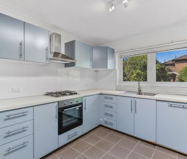 120 Warren Road, Marrickville NSW 2204 - House For Rent | Domain - Photo 3