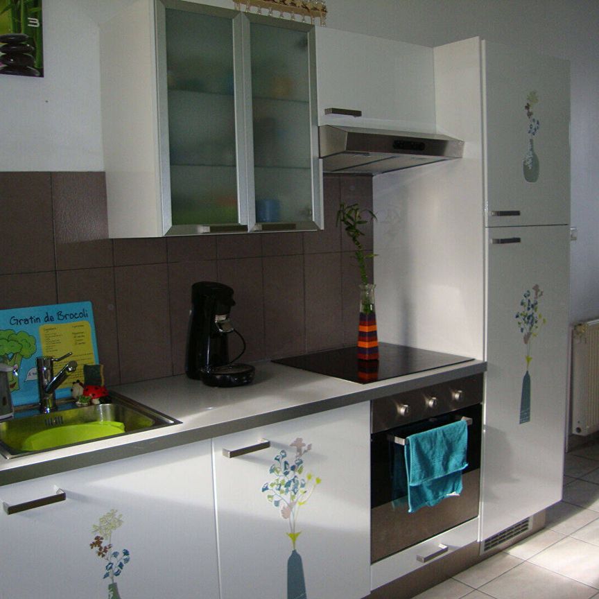 Location appartement 3 pièces 68.34 m² à Oyonnax (01100) - Photo 1
