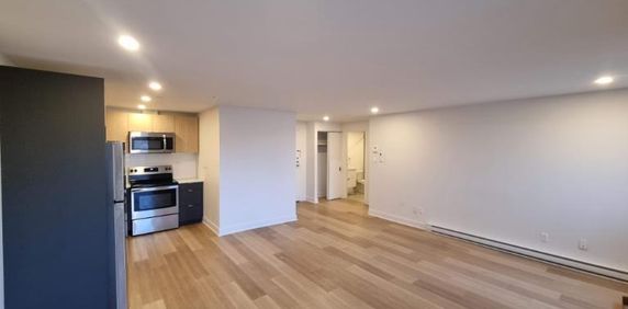 Studio - Côte Saint-Luc - $1,399 /mo - Photo 2