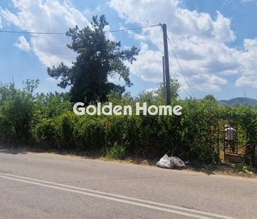 Μονοκατοικία για ενοικίαση Κοσμοθέα (Αφίδνες) - Photo 2